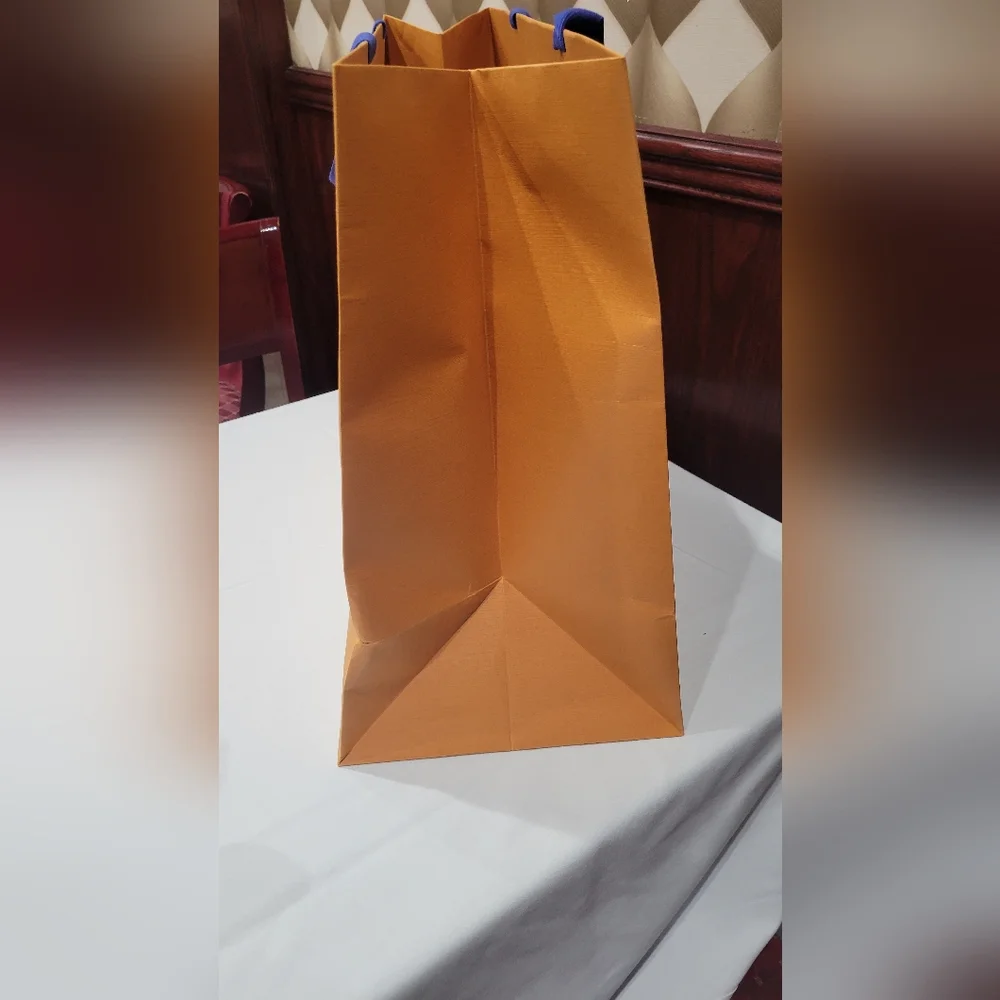 Louis Vuitton XXL paper gift shopping bag